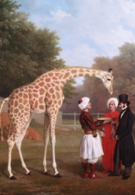 Fascinert av giraffer
