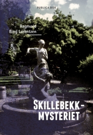 Skillebekkmysteriet